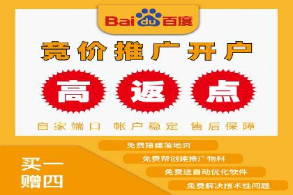 百度竞价SEM案例：如何利用数据分析优化广告效果